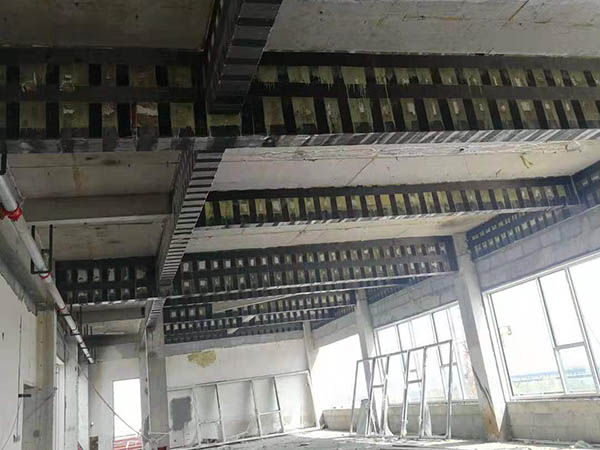 山东2025新澳门原料免费网